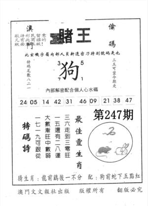 赌王第2026247期资料图片