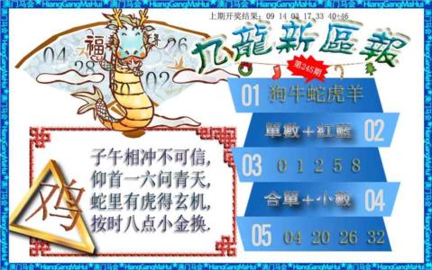 九龙新区报第2026245期资料图片