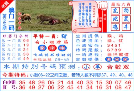 澳门飞龙宝典第2026245期资料图片