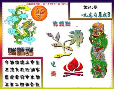 九龙内幕特肖图a第2026245期资料图片