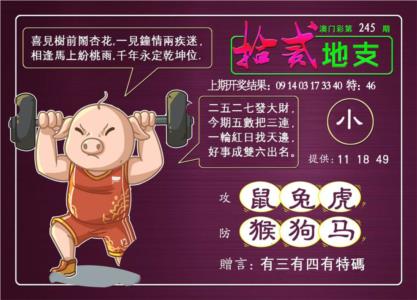 十二地支第2026245期资料图片