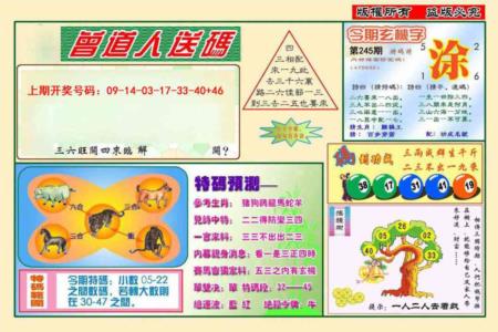曾道人送特码第2026245期资料图片