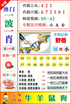 澳门一波一肖第2026246期资料图片