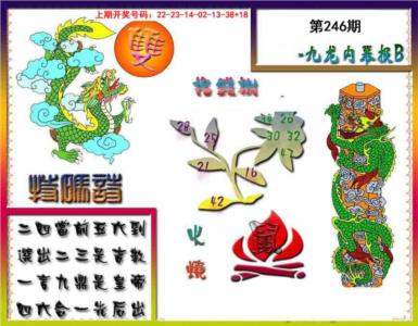 九龙内幕特肖图a第2026246期资料图片