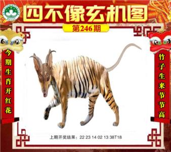 四不像玄机图第2026246期资料图片