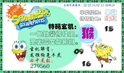 特码玄机第2026246期资料图片