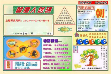 曾道人送特码第2026246期资料图片