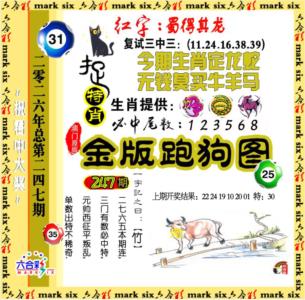 金版跑狗图第2026247期资料图片