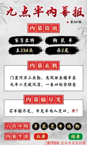 九点半内幕报第2026247期资料图片