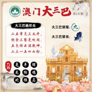 澳门大三巴第2026247期资料图片