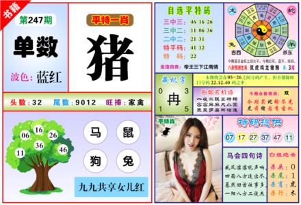 澳门六合暴特第2026247期资料图片