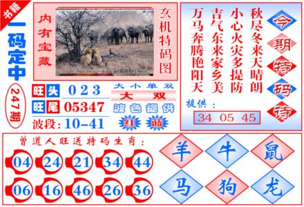 澳门定乾坤第2026247期资料图片